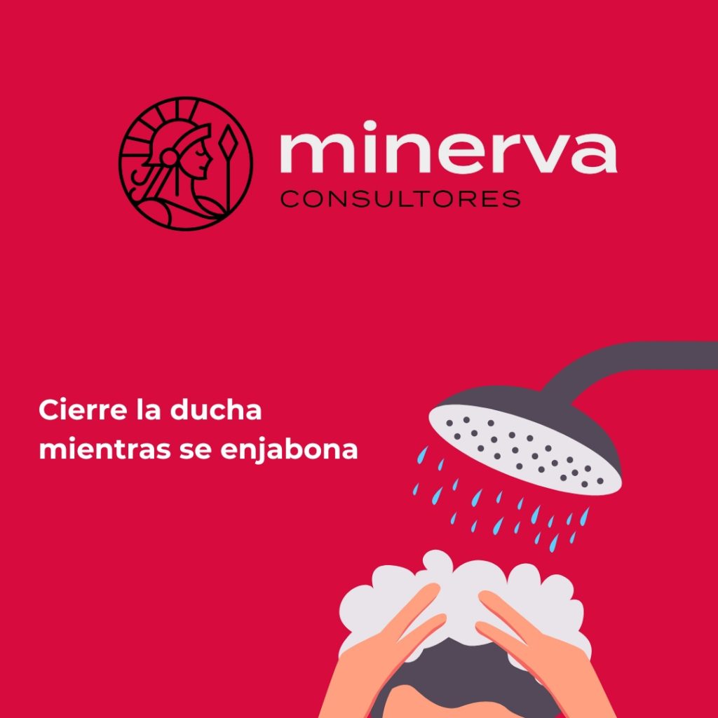2 - copia
