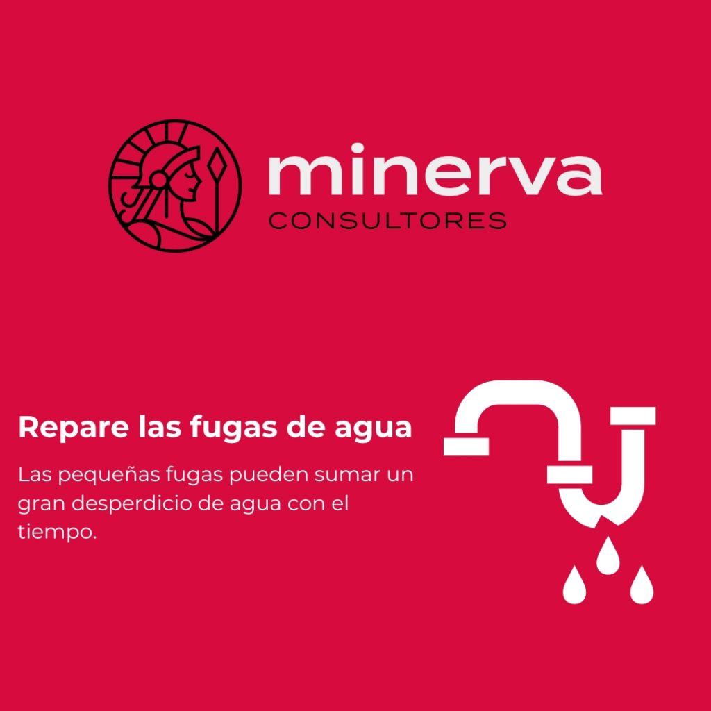 5 - copia