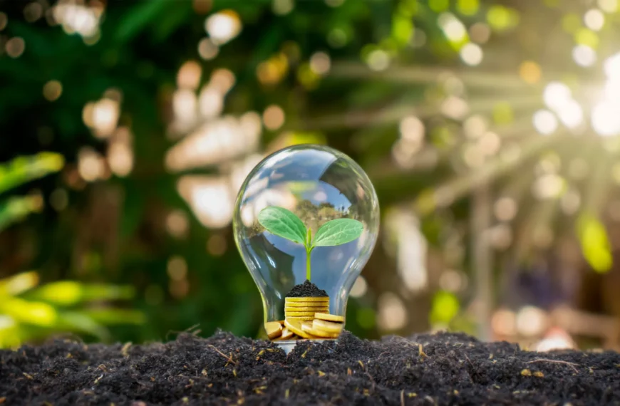 Tendencias Actuales en el Ámbito Empresarial: Innovación, Adaptación y Sostenibilidad en un Mundo Cambiante