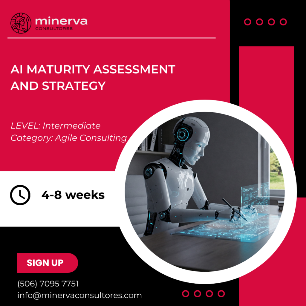 AI Maturity Assessment and Strategy